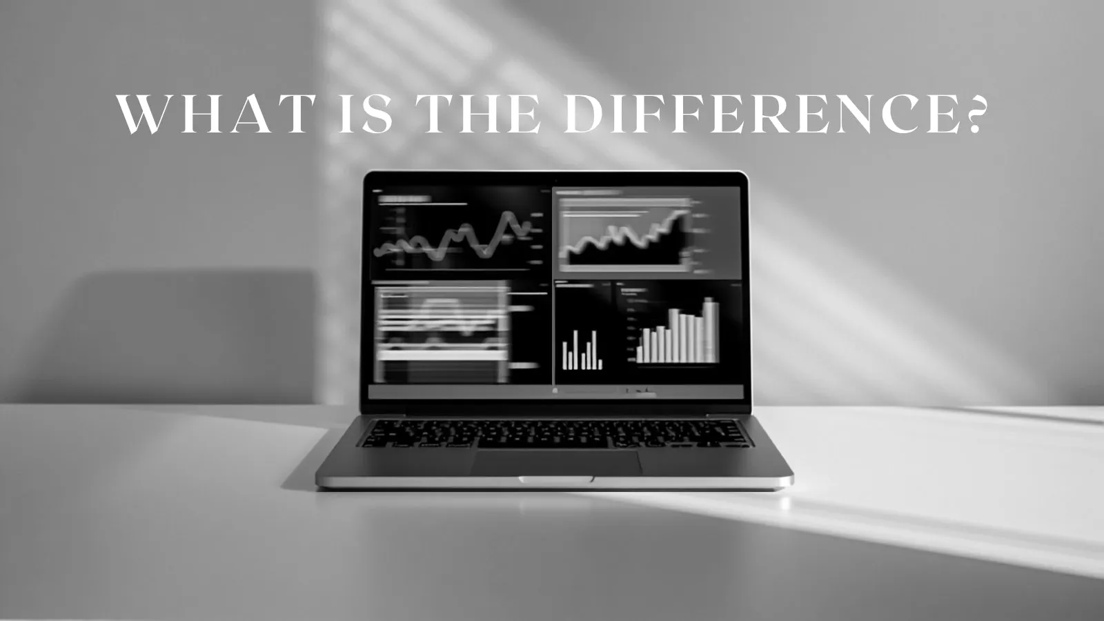 Performance Max o Search: cuándo usar cada una